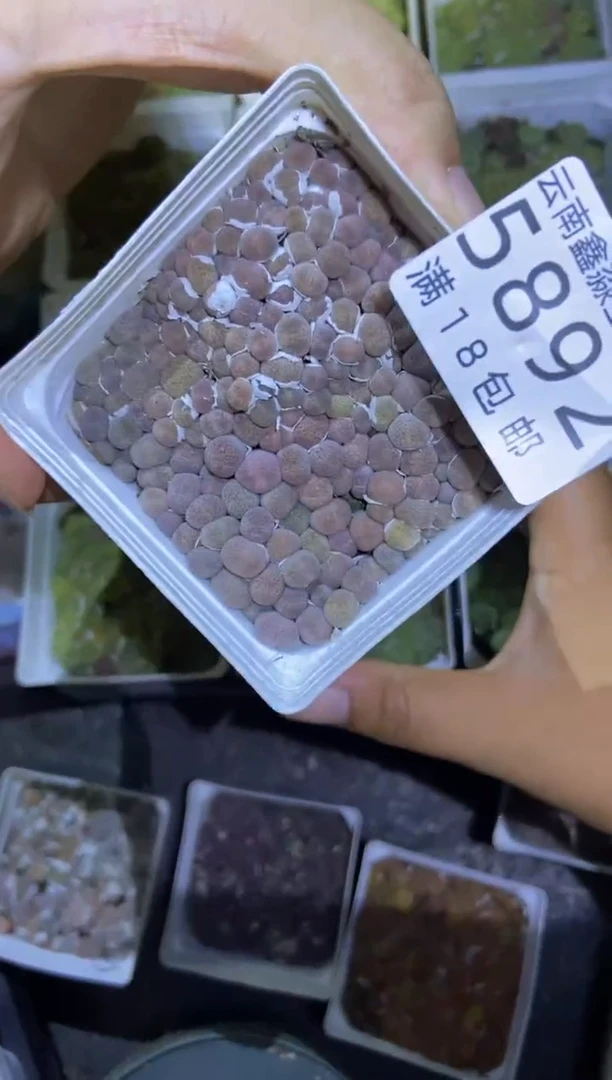 【闪购商品】5892特价碧琉璃混合七方一盒个头小量拍