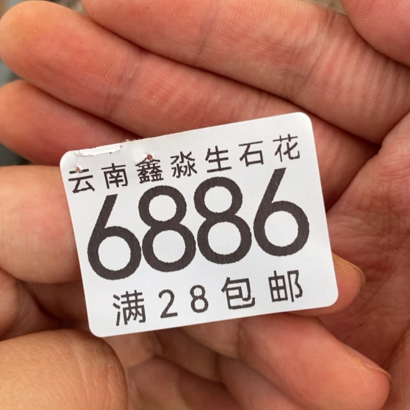【闪购商品】坤*6886特价1盘大观玉带土