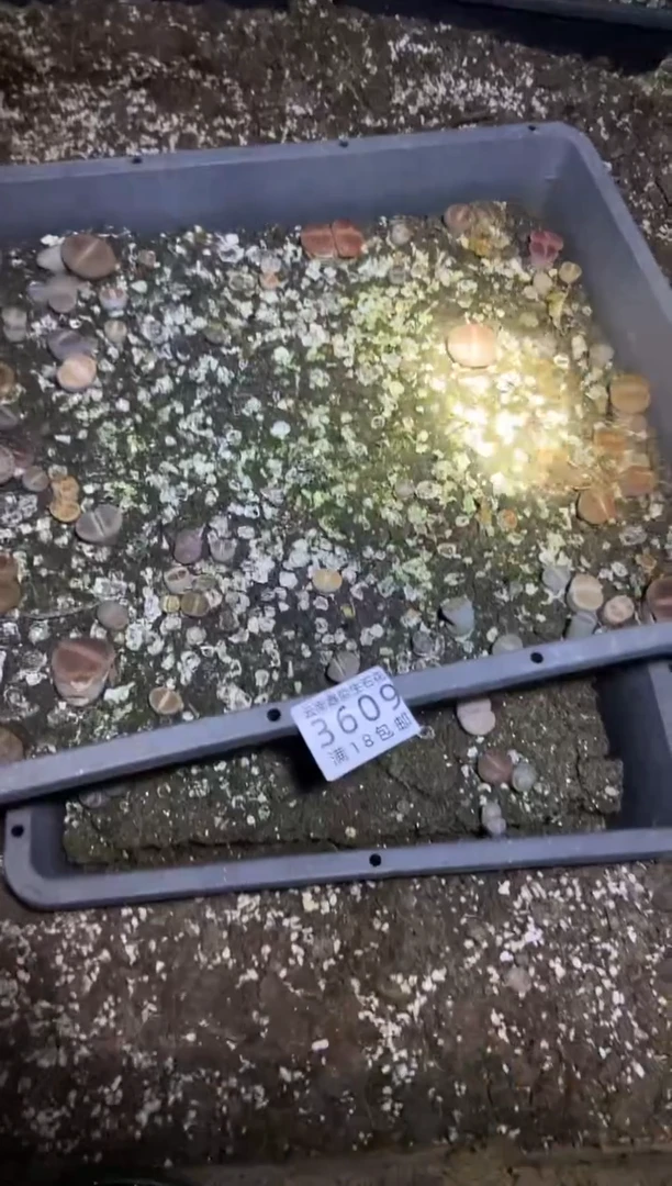 【闪购商品】.3609混合2筐脱土有瑕疵