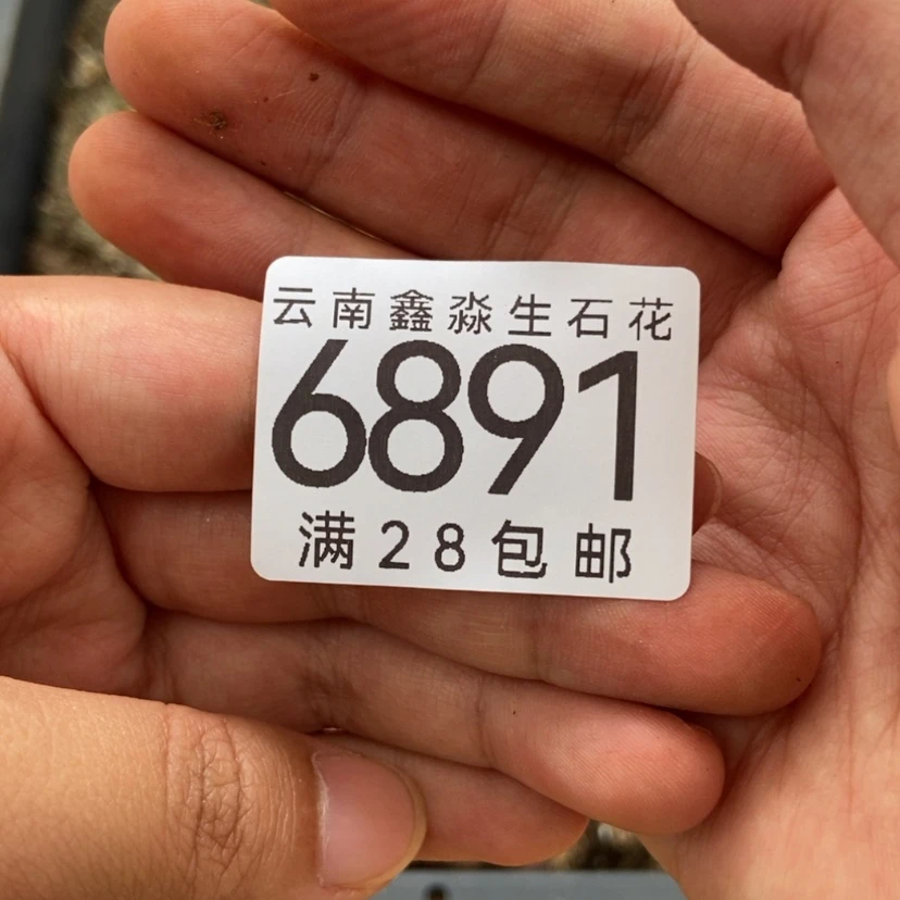 【闪购商品】6891特价1盘KO脱土微瑕