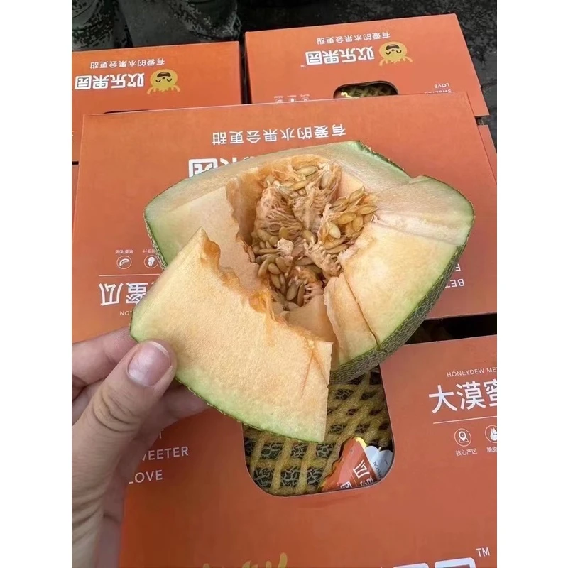 《老三严选》大漠蜜瓜一箱2粒8.5斤  京东包邮