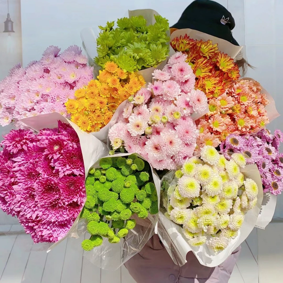 【小雏菊】一单中通快递 两单升级顺丰冷链发货