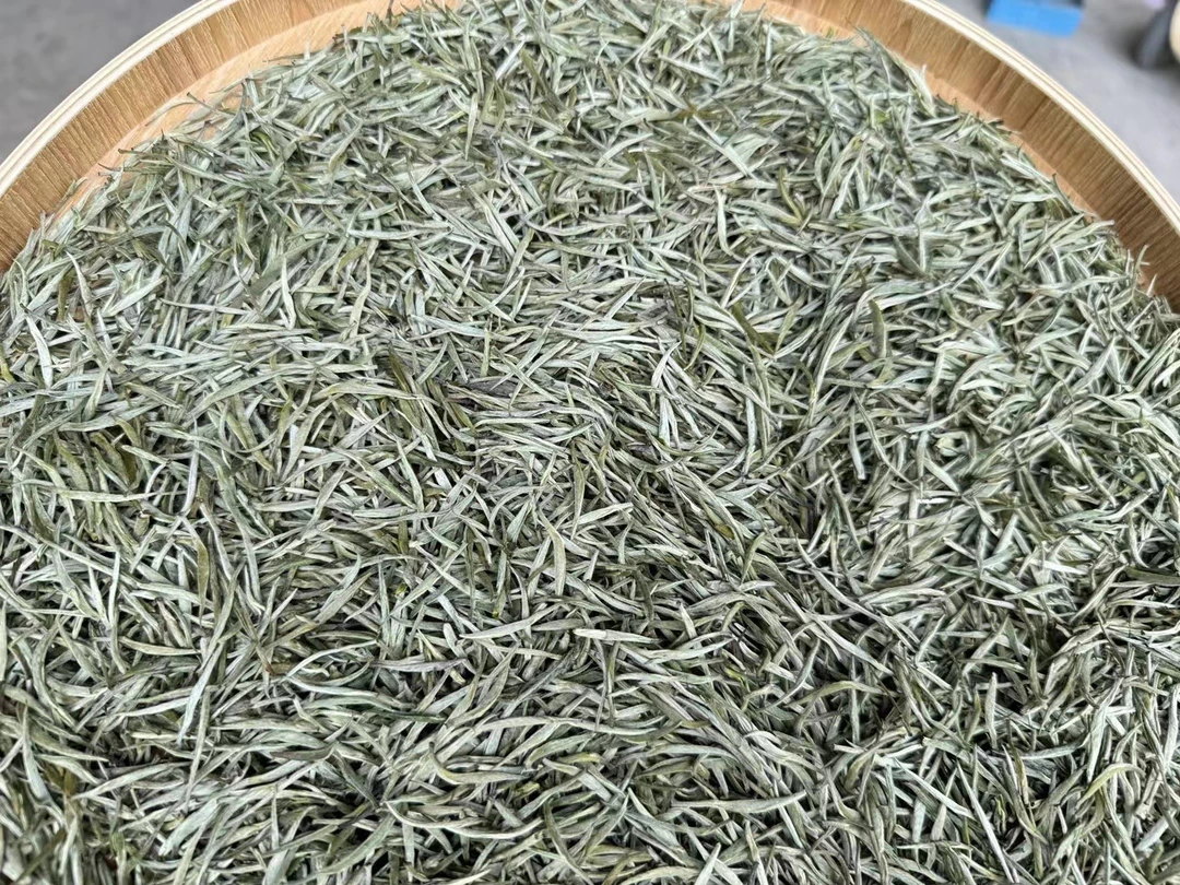 2024年新茶茉莉花茶老味银针 浓香型茉莉滋味浓花香足香甜回甘