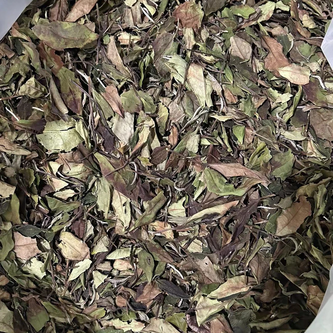 2023年寒露茶，日晒高山茶