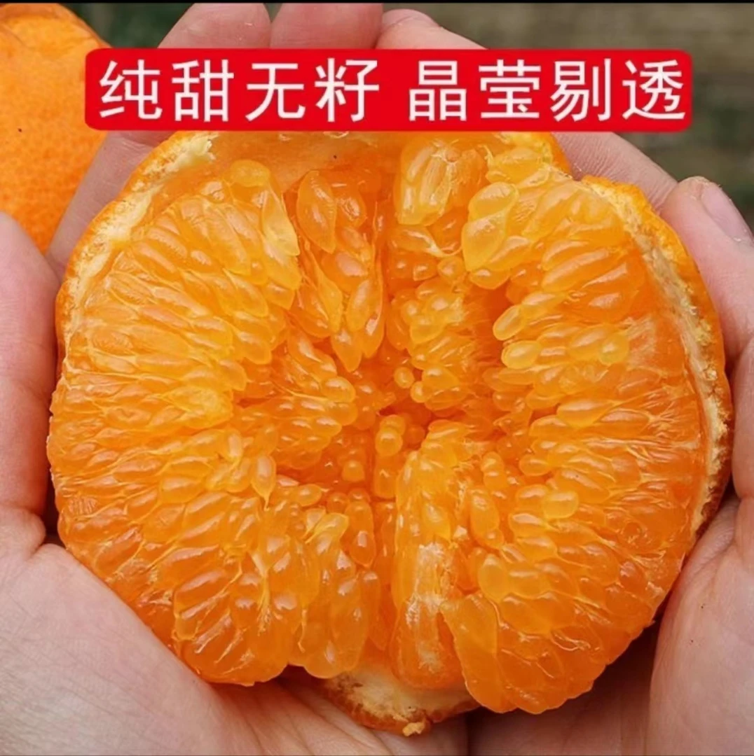 四川耙耙柑春见耙耙柑当季水果品质甄选橘子耙耙柑优质【现摘现发】