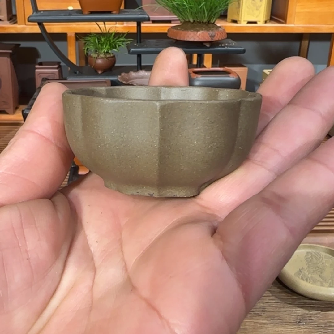 【闪购商品】紫砂花盆L*.