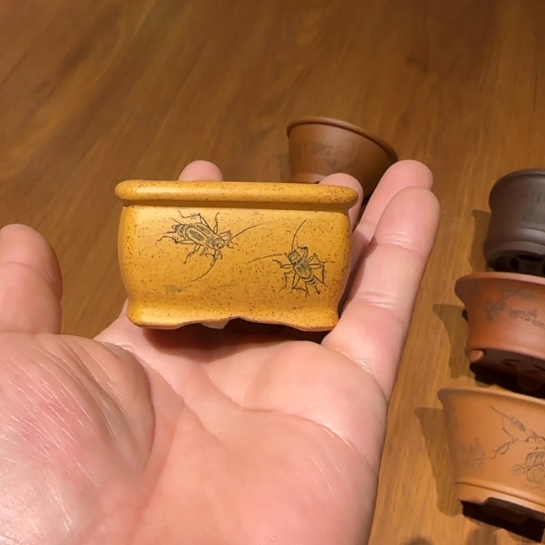【闪购商品】紫砂花盆清****踪