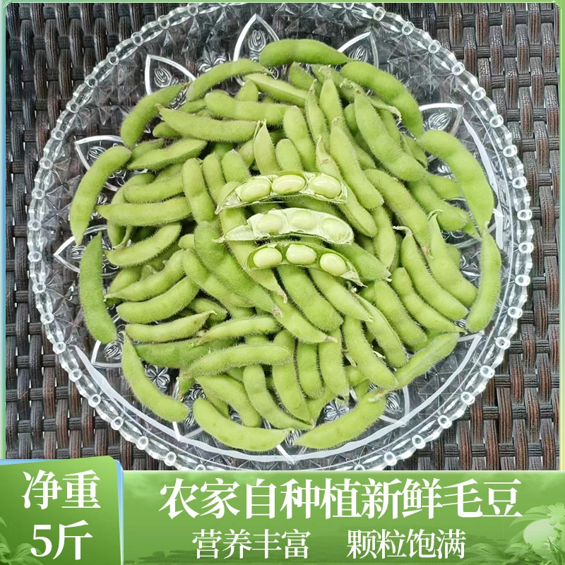 四川新鲜精品毛豆农家种植香脆饱满清香坏单包赔