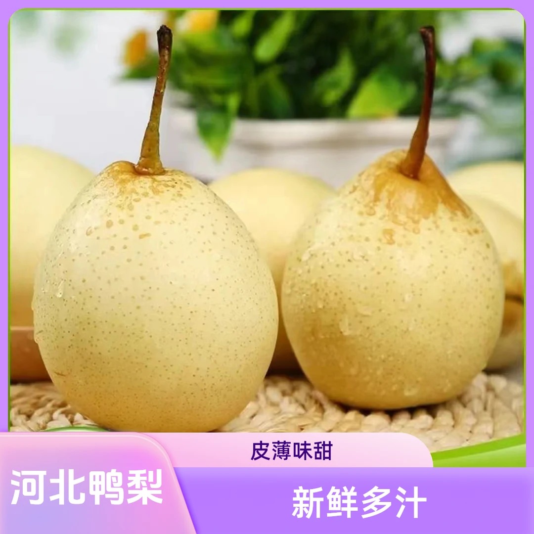 河北鸭梨水晶梨带箱5斤装口感酸甜多汁产地直发G