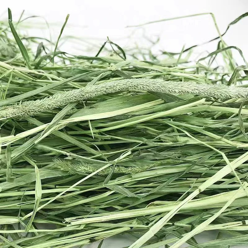 优质提摩西草段牧草兔兔干草龙猫豚鼠荷兰猪粮成兔幼饲料