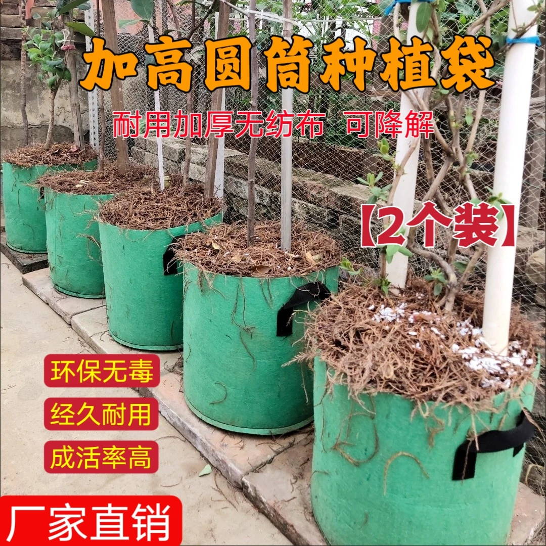高款无纺布美种植袋花盆阳台楼顶花草树木育苗盆加厚折叠花盆绿植