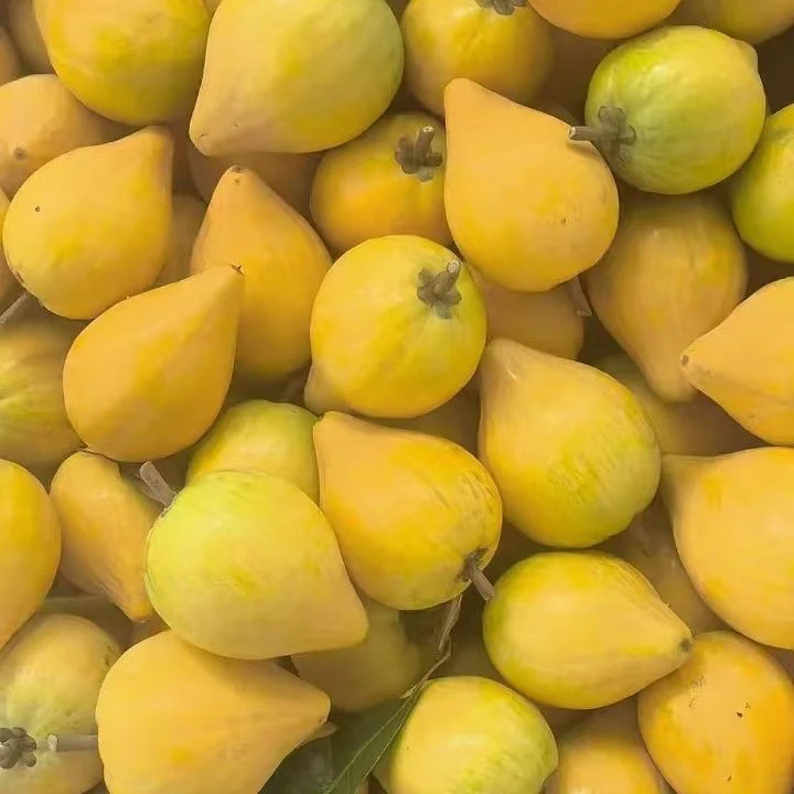 （走夷方现收）农家-鸡蛋果