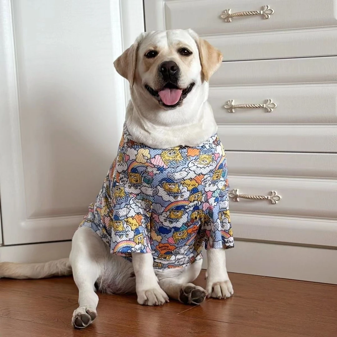 拉布拉多金毛网眼舒适透气衣服狗狗衣服大型犬夏季薄款衣服