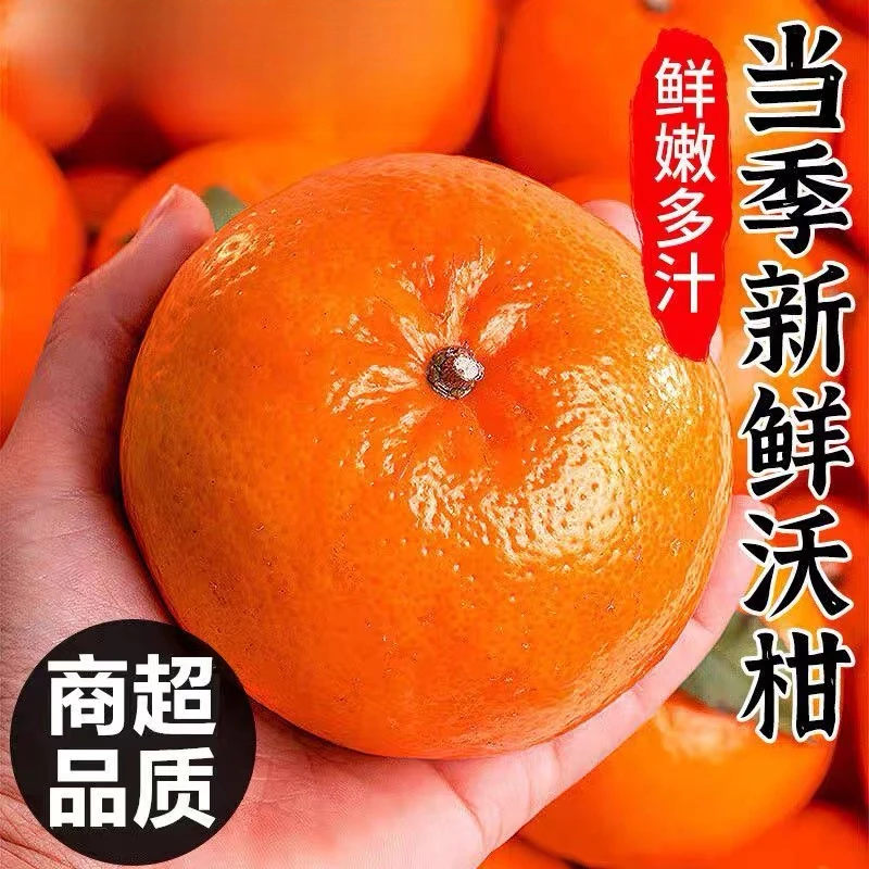 广西沃柑武鸣香甜多汁新鲜采摘皮薄细嫩清甜香甜爽口甜蜜健康产品
