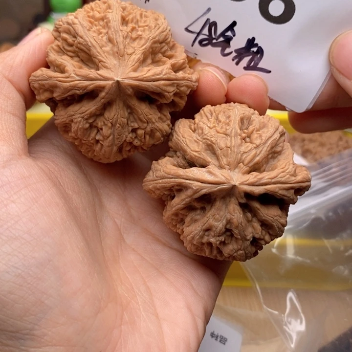 文玩核桃吊坠856号48全粗筋