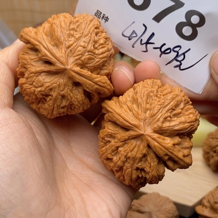 文玩核桃吊坠678号47.5粗筋全
