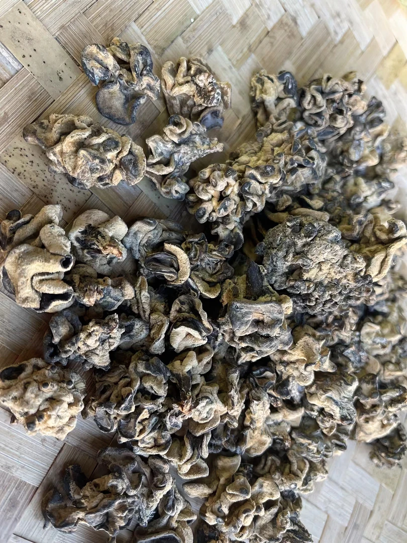 【阿豪优选】山货  核桃菌