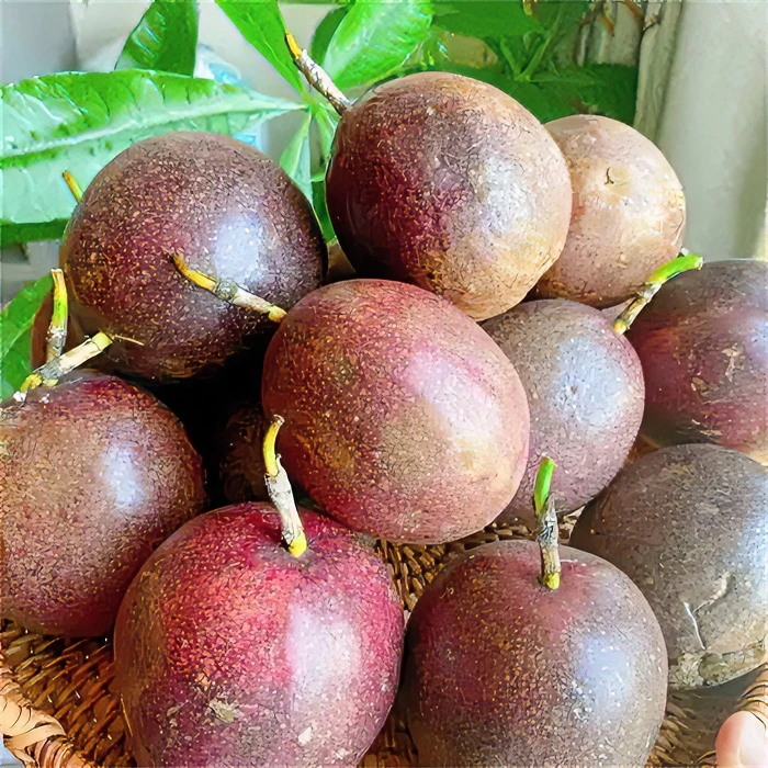 【阿豪优选】精选百香果1500/2500克====食用农产品