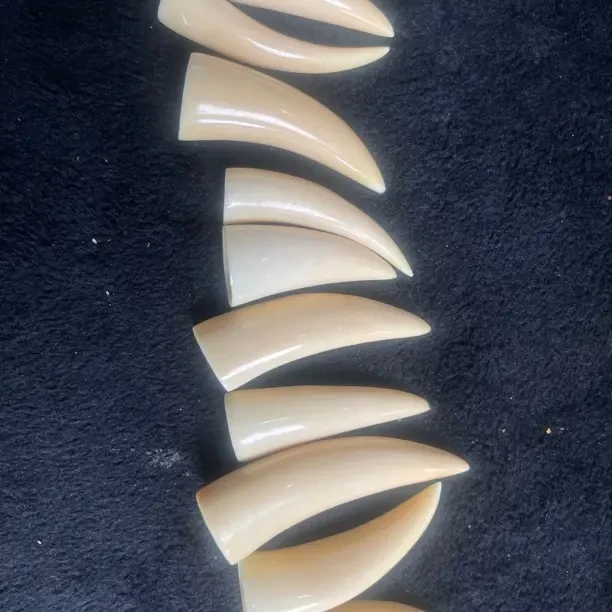 非金属树脂项链 2g天然牙带皮牙尖37*9*7mm打孔绑绳