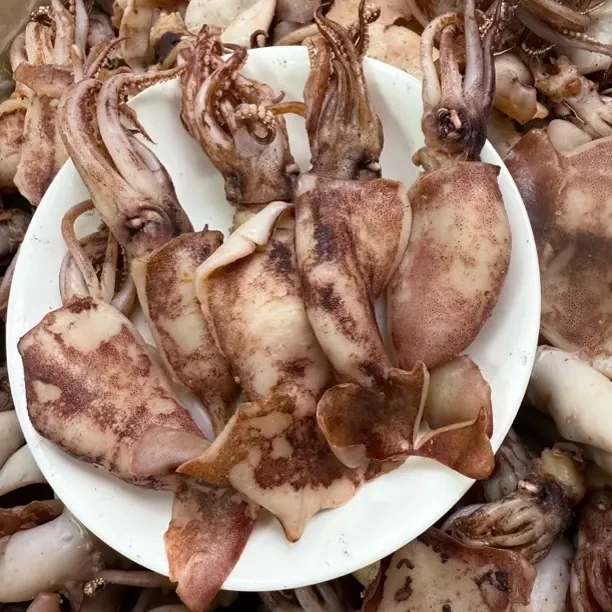 大脆鱿筒 鱿鱼筒 爆炒鱿鱼