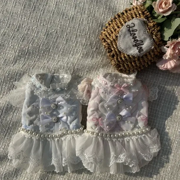 秋冬加厚宠物公主蕾丝裙狗狗猫咪保暖超吸睛