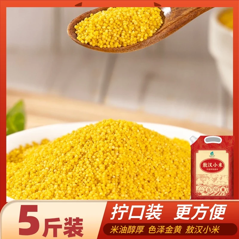 2025年新米敖汉黄小米新米金苗K1农家黄金小米新米月子米小米杂粮