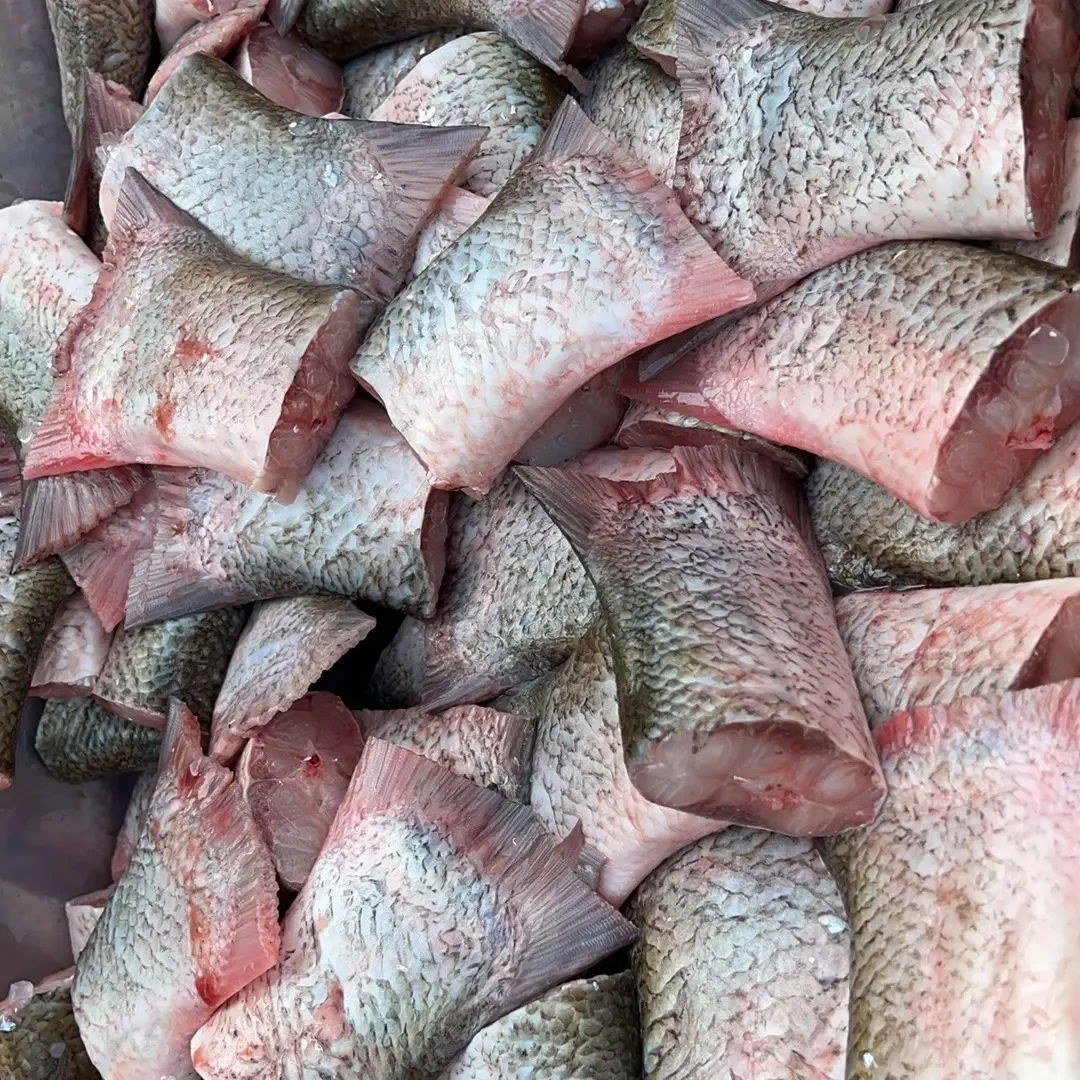 新鲜现杀白鲢鱼尾淡水鱼美味食材