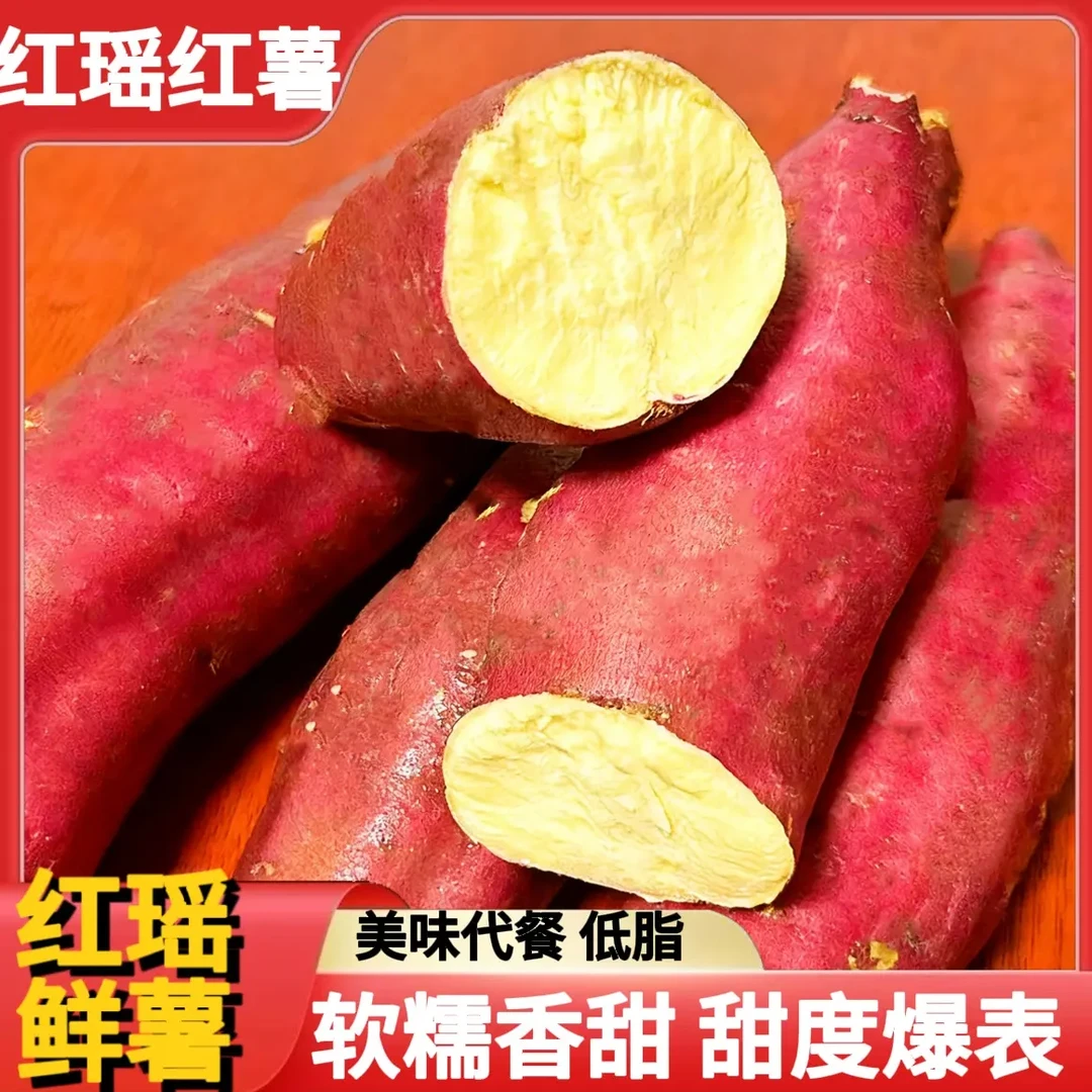 红瑶红薯鲜薯粉糯香甜的美味选择