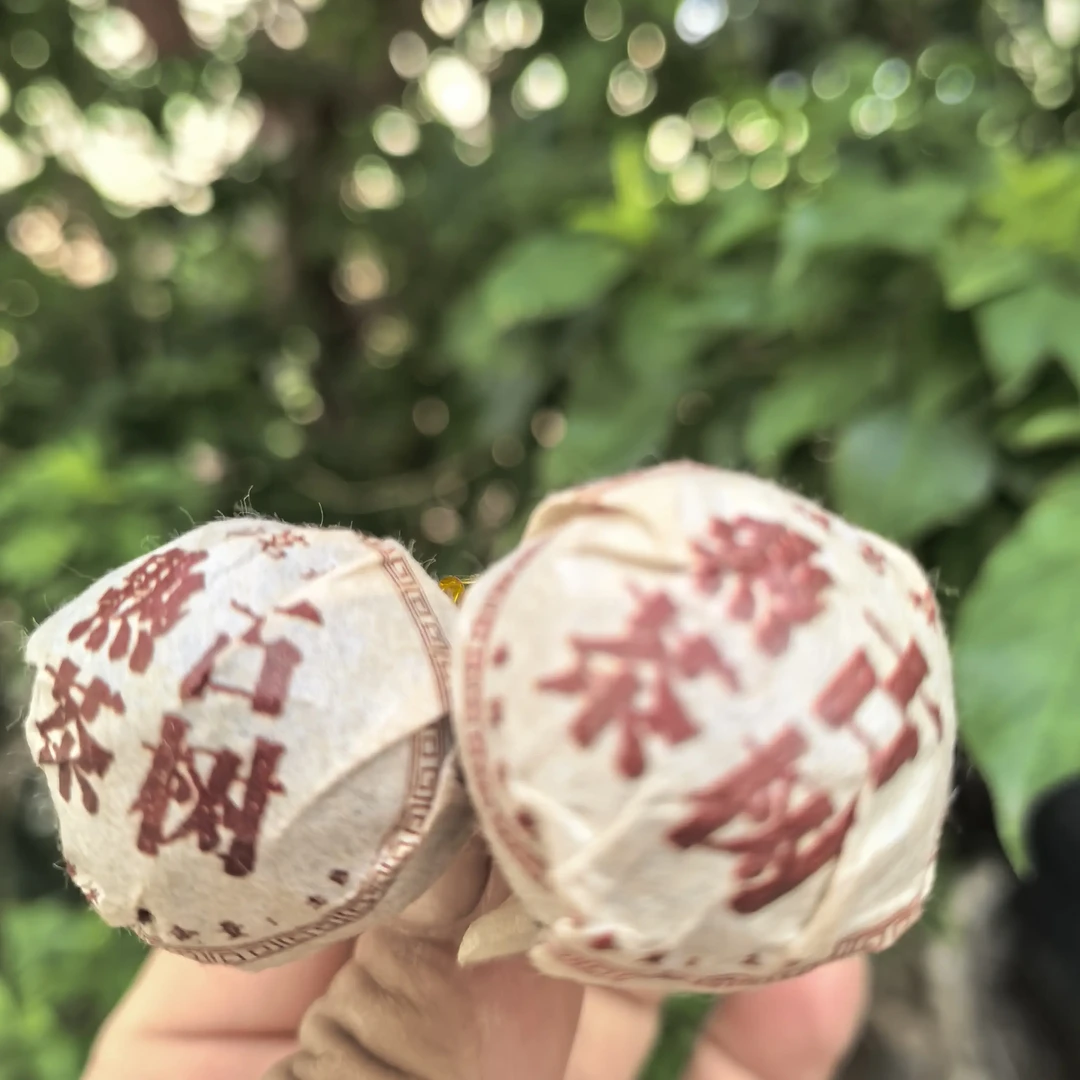 秀和茶业2021年古树熟茶茶云南8克小龙珠全国包邮