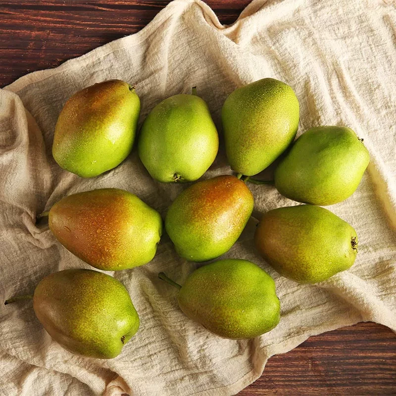 【坏果包赔】山西正宗红香酥梨脆甜多汁细腻化渣香梨整箱3斤