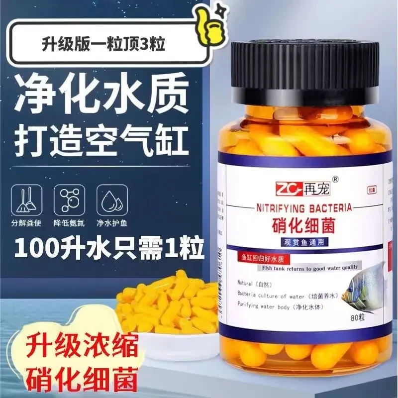 缸用专用硝化细菌胶囊净水剂颗粒干粉水质净化水族鱼用杆菌活菌