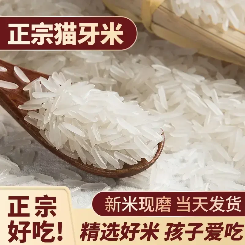 【正宗优选】猫牙米长粒香米真空包装锁鲜大米优质香米现磨米好吃Y