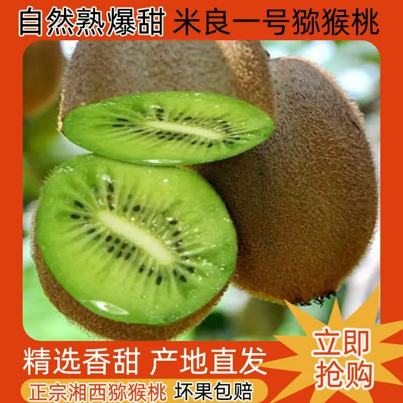 正宗湘西绿心猕猴桃新鲜采摘产地发货孕妇可食奇异果