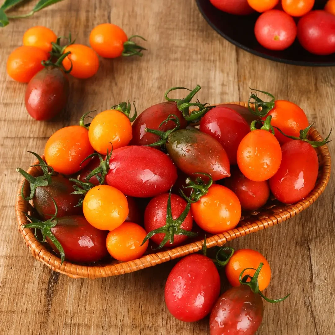 紫弹头小番茄圣女果新鲜樱桃西红柿应季孕双朴妇水果酸甜多汁