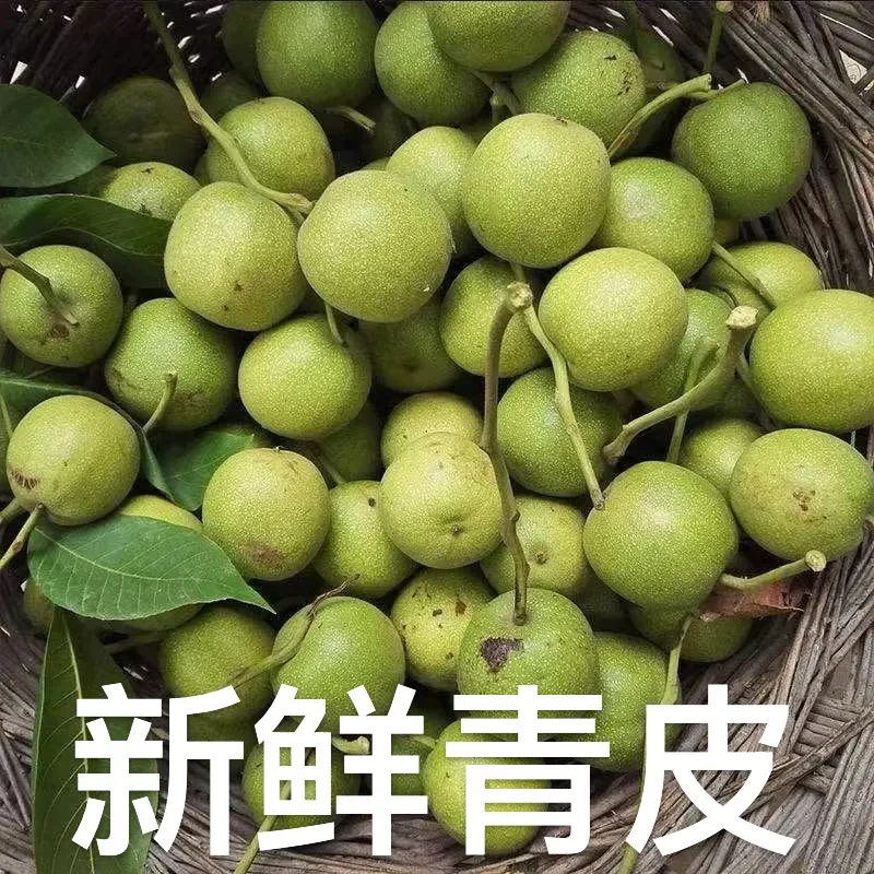 文玩核桃青皮官帽新鲜青皮带工具自己去官帽大尺寸开青皮新手来吧