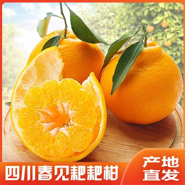 【邮政助农专属】正宗四川耙耙柑 丰富维C爆汁无核dy