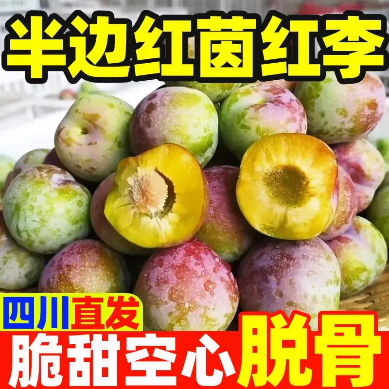 正宗四川半边红茵红李脱骨李新鲜应季水果脆甜多汁