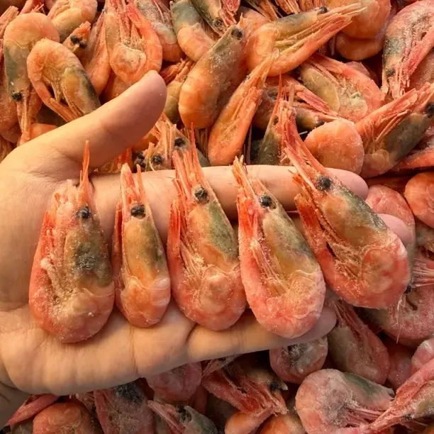 青黑头北极虾海藻头北极甜虾3斤