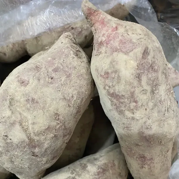 林林助农产品 红苕