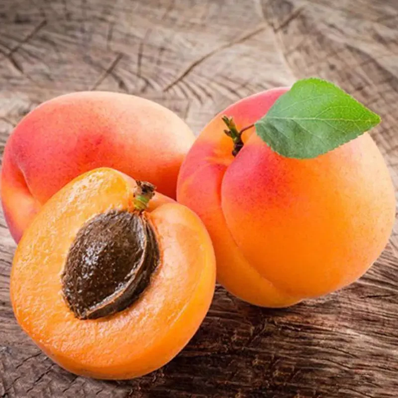 【现摘现发】胭脂贵妃红杏新鲜产地直发香甜可口应季鲜果杏子