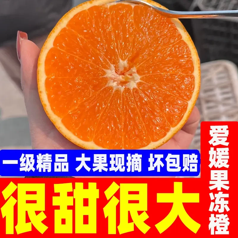 【防冻装 寒冷地区拍】正宗四川爱媛38号果冻橙新鲜水果整箱包邮lf