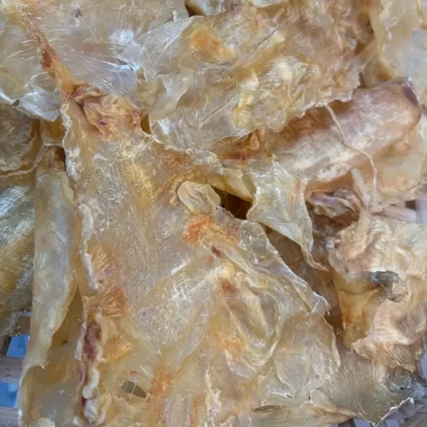 深海斗湖午鱼胶花胶干货日常滋补适合各类人群炖汤炖奶不腥