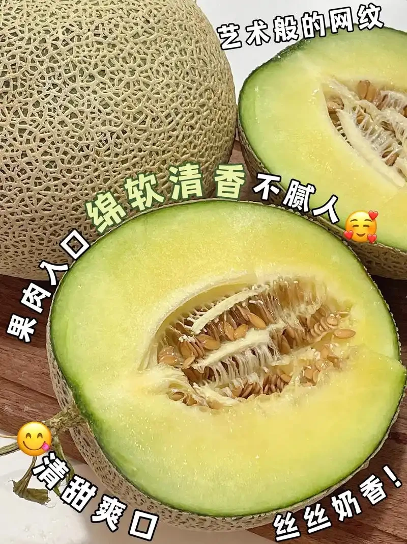 【达吾福利】精品牛三网纹蜜瓜礼盒2枚装