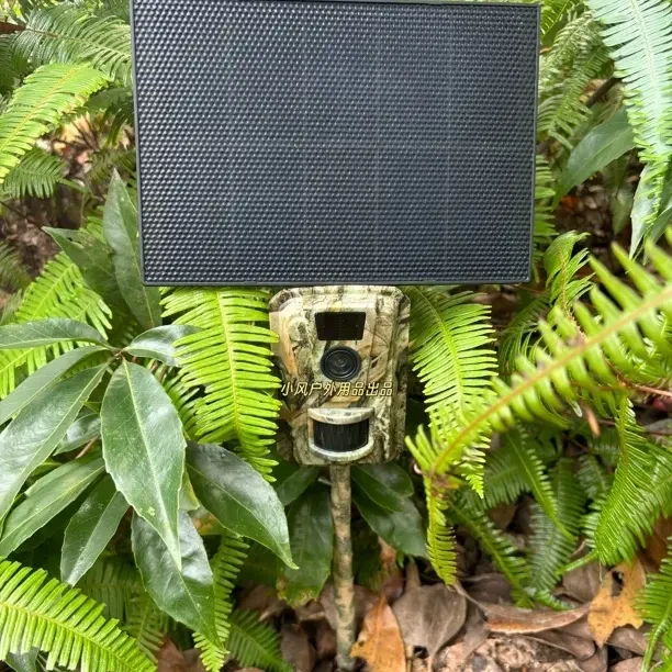 深山果园农场迷彩防盗器