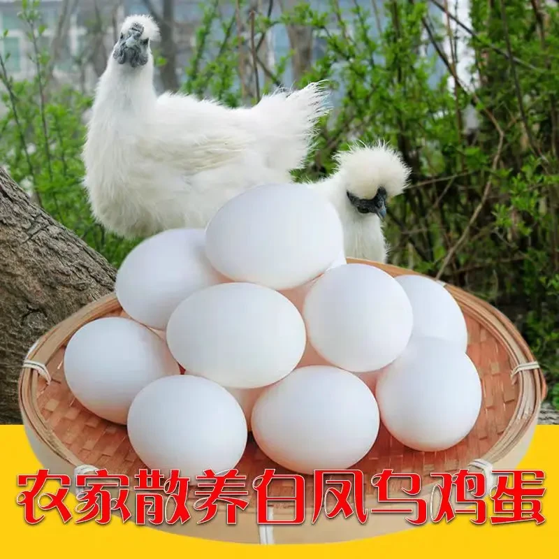 【买30枚送20枚到手50枚】当日现捡新鲜白凤乌鸡蛋农家谷物喂养营养