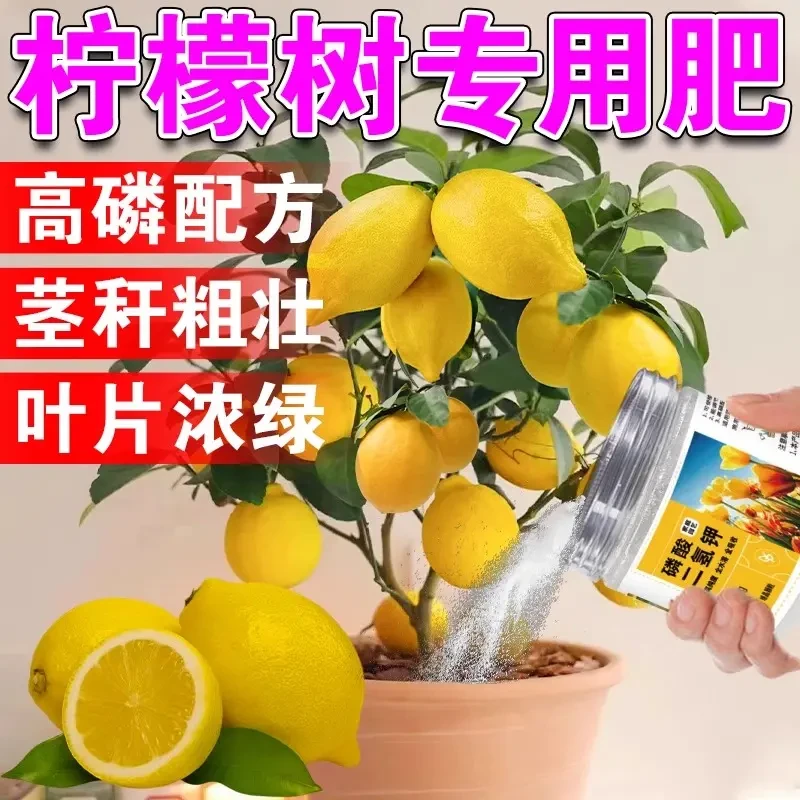 柠檬树专用肥料香水柠檬树专用肥柠檬树营养液掉叶子叶子发黄肥WH