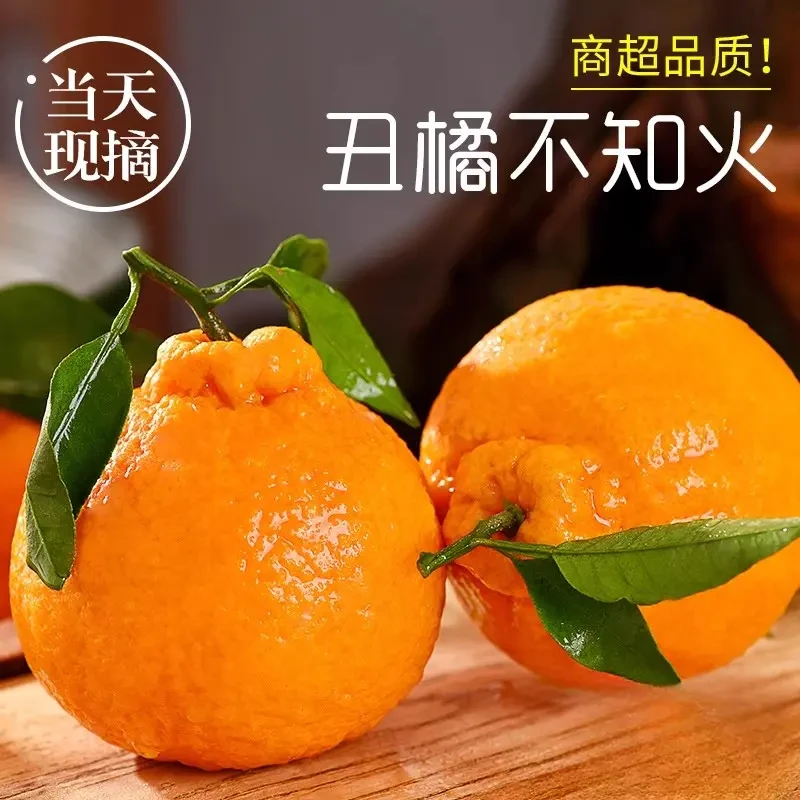 高山不知火丑橘正宗丑桔子丑八怪丑柑应当季新鲜水果产地现摘现发