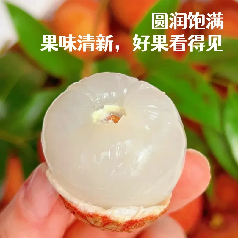 4.5斤礼盒装【海南桂花香荔枝】送礼有面新鲜老树现摘顺丰空运速发