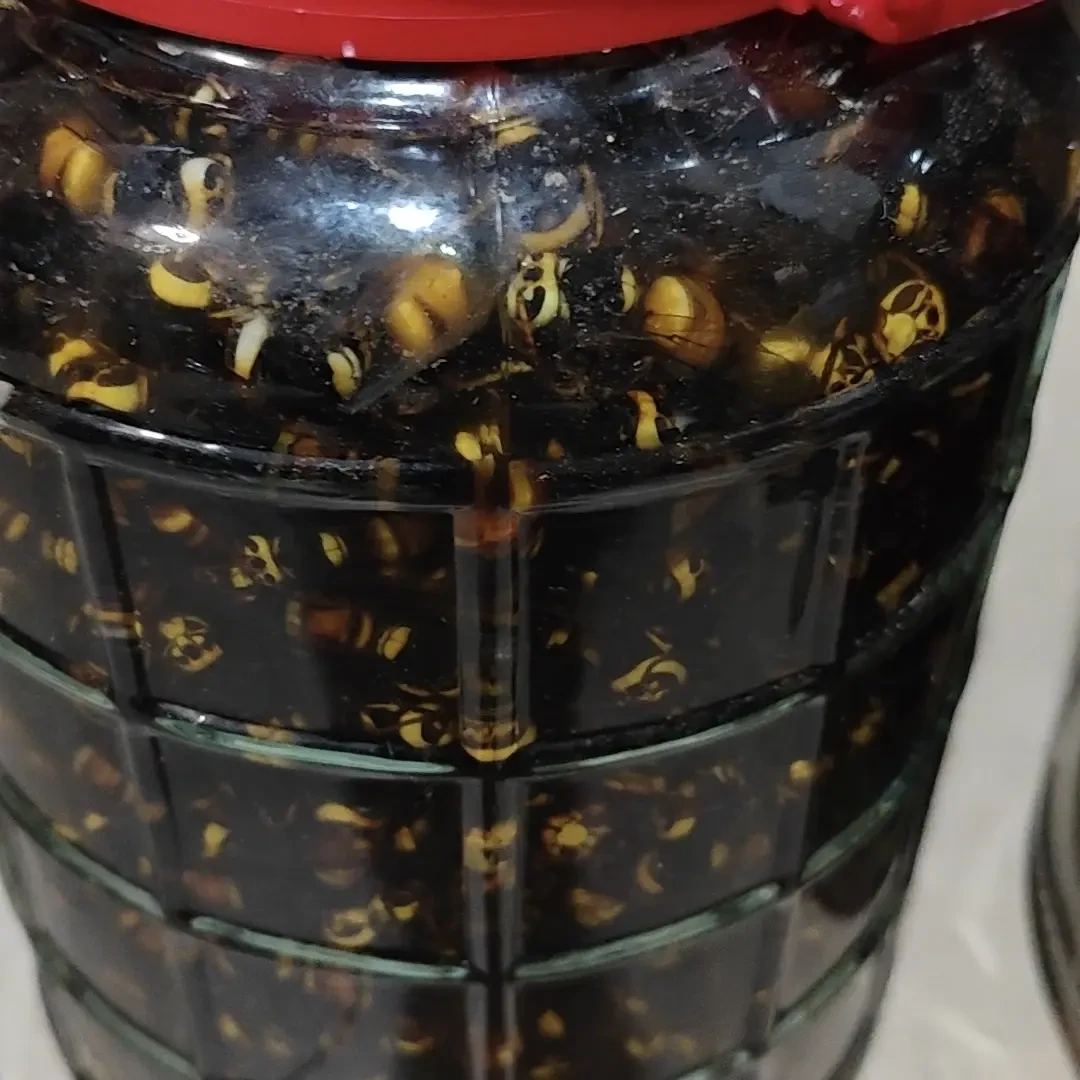 广西泡一年以上黑尾虎头蜂整钢拍1000只