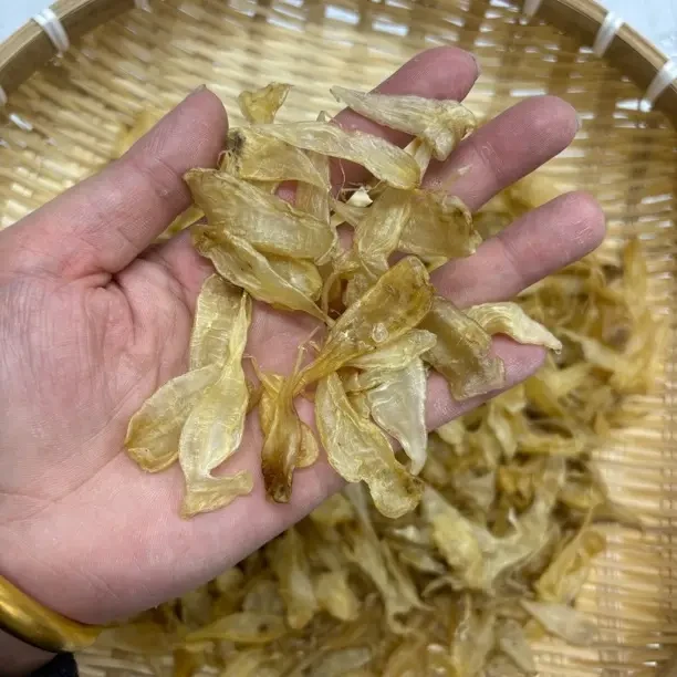 清水豆仁胶鱼肚干货低腥胶质好孕妇月子炖汤滋补品